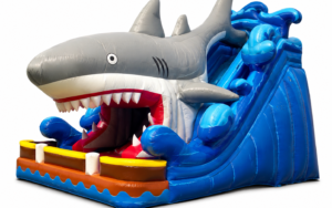 Sautoir Requin